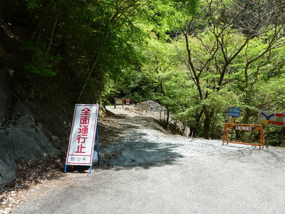 P1090804_mid.jpg