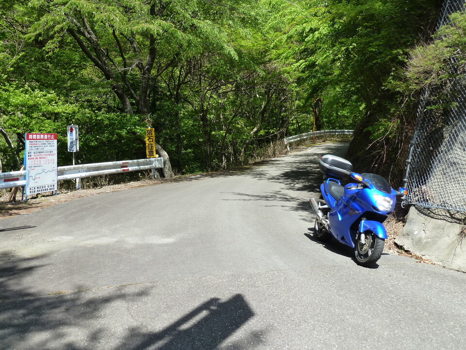 P1090821_mid.jpg