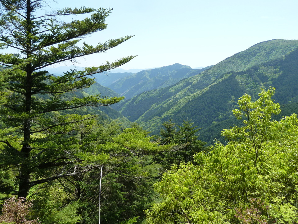 P1090824_mid.jpg