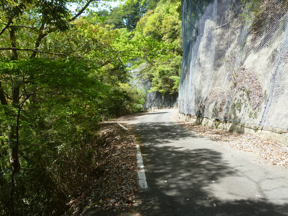 P1090828_mid.jpg