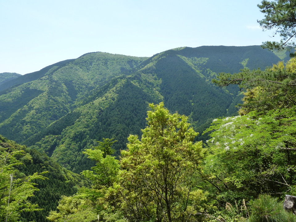 P1090833_mid.jpg