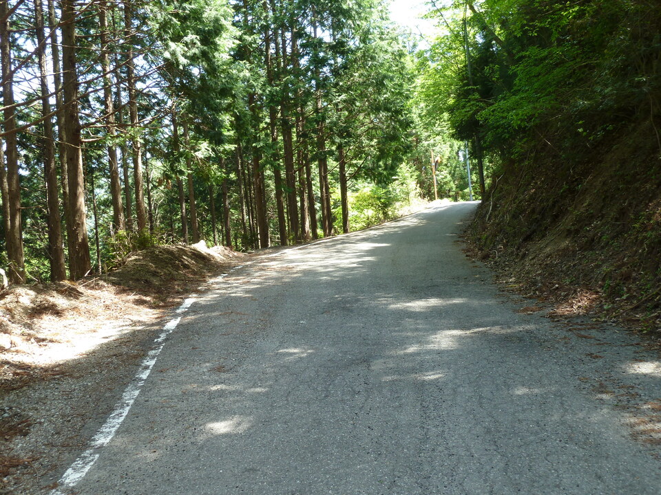 P1090844_mid.jpg