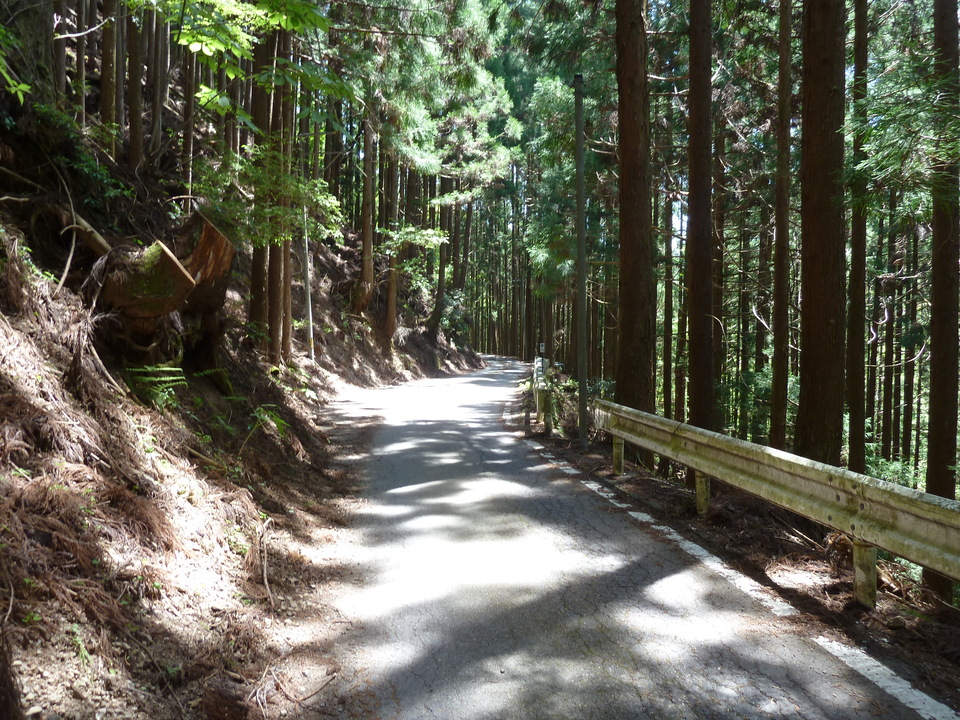 P1090848_mid.jpg
