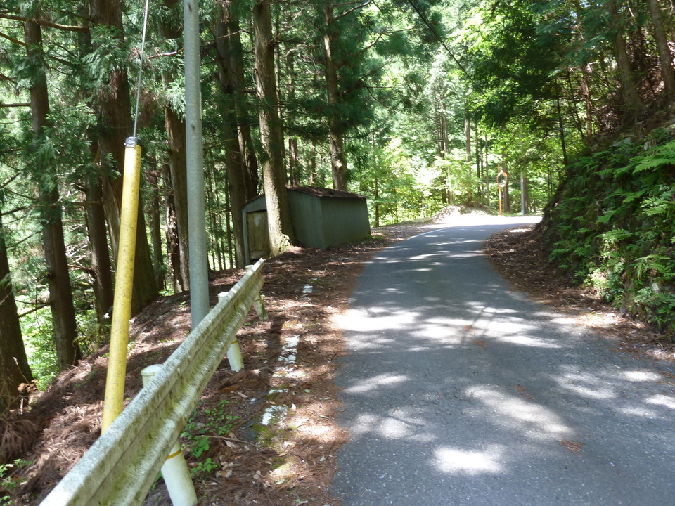 P1090866_mid.jpg
