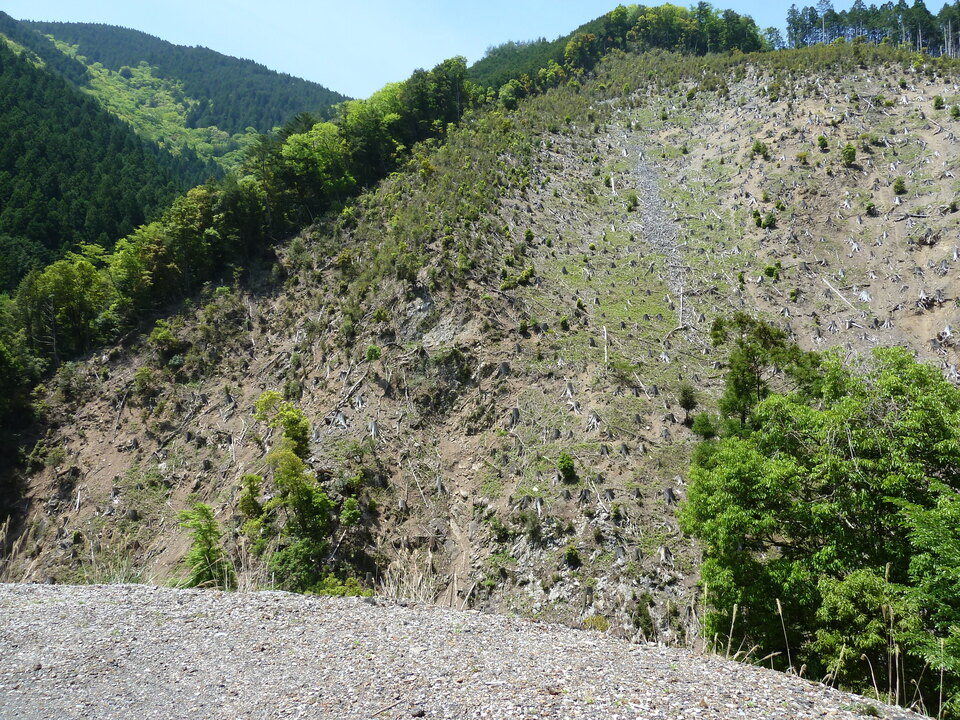 P1090867_mid.jpg