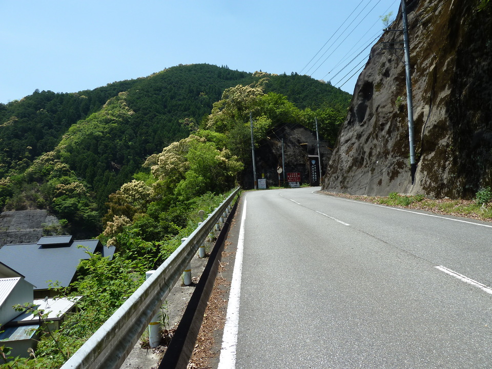 P1090914_mid.jpg