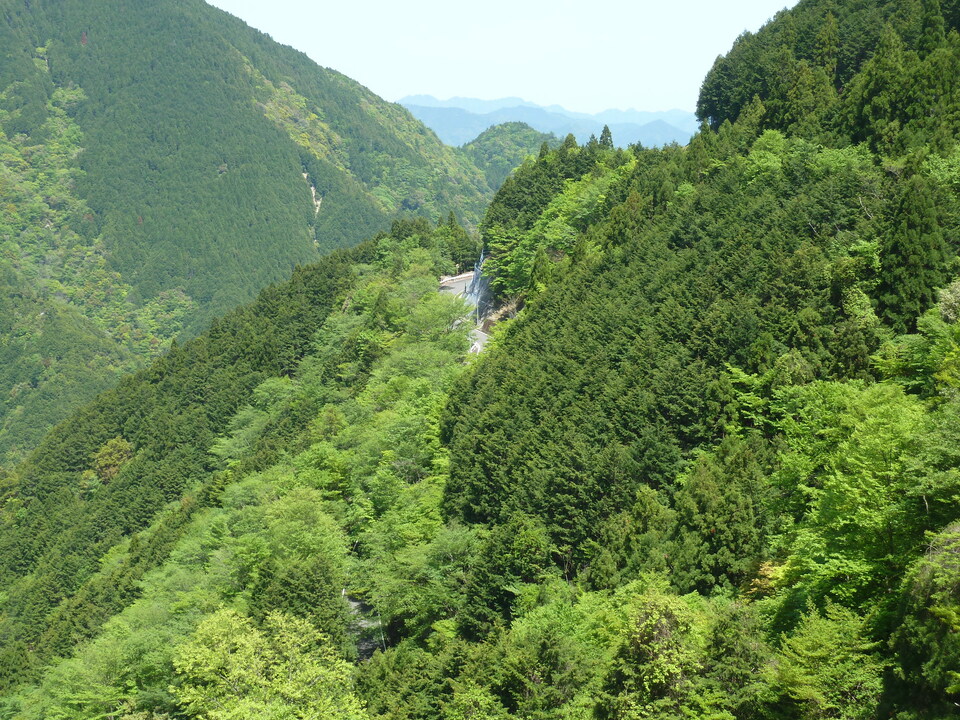 P1090929_mid.jpg