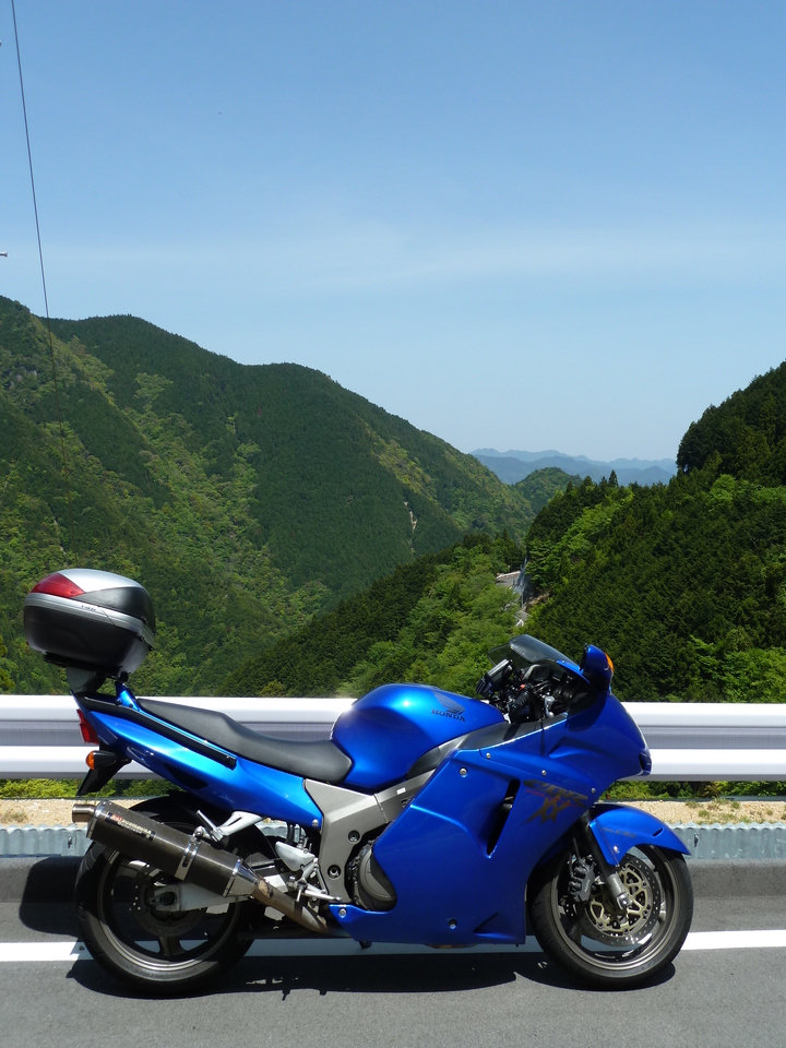 P1090933_mid.jpg