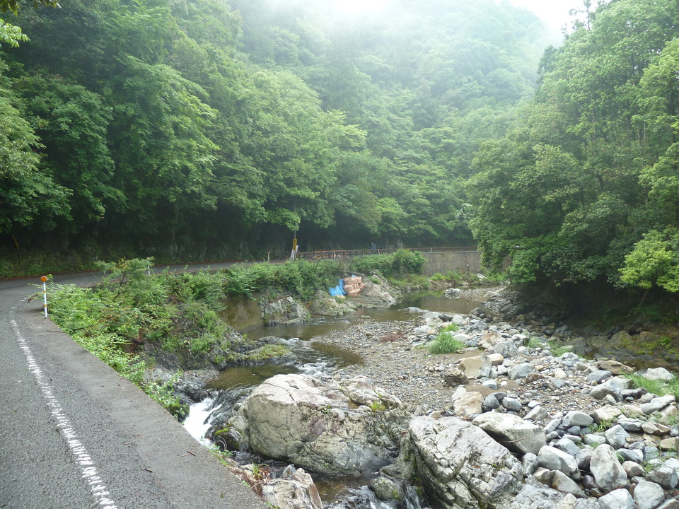 P1110330_mid.jpg