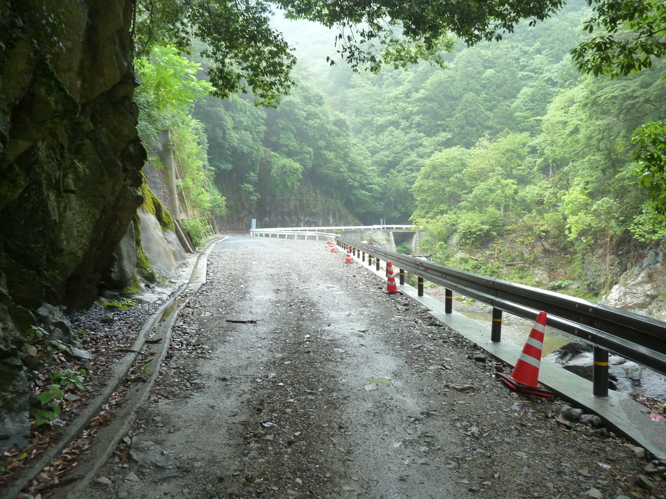 P1110333_mid.jpg
