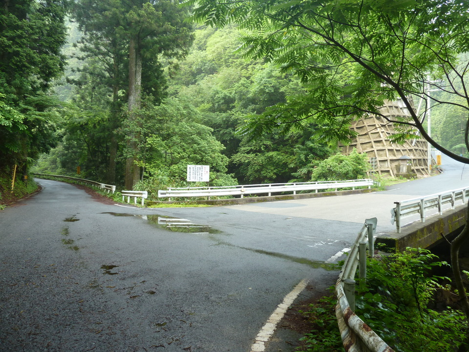 P1110339_mid.jpg