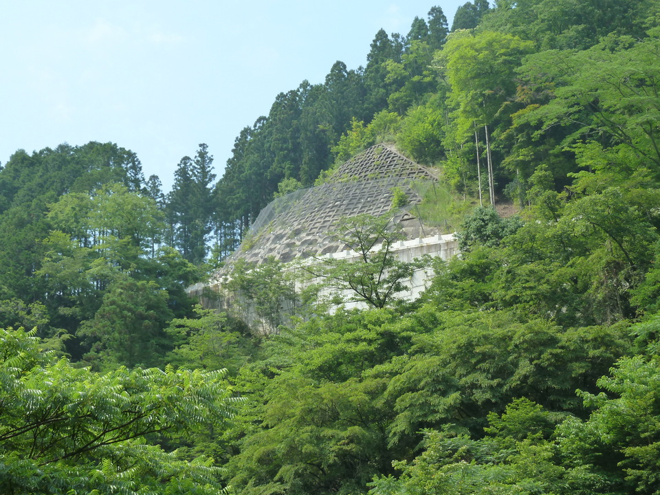 P1110348_mid.jpg