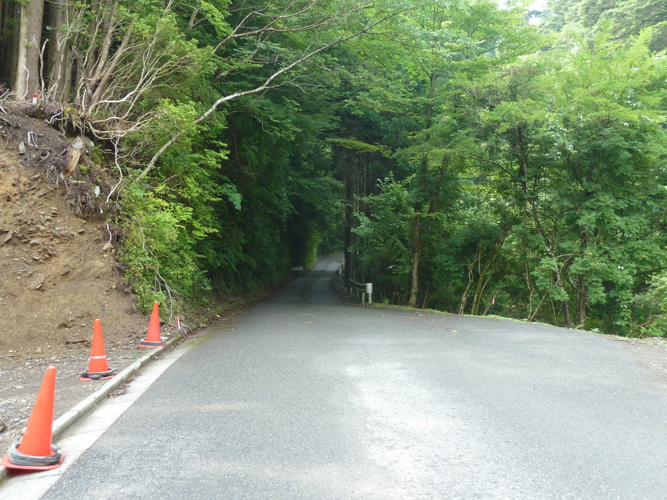 P1110352_mid.jpg