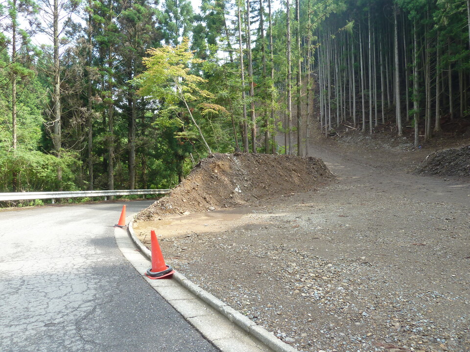 P1110353_mid.jpg