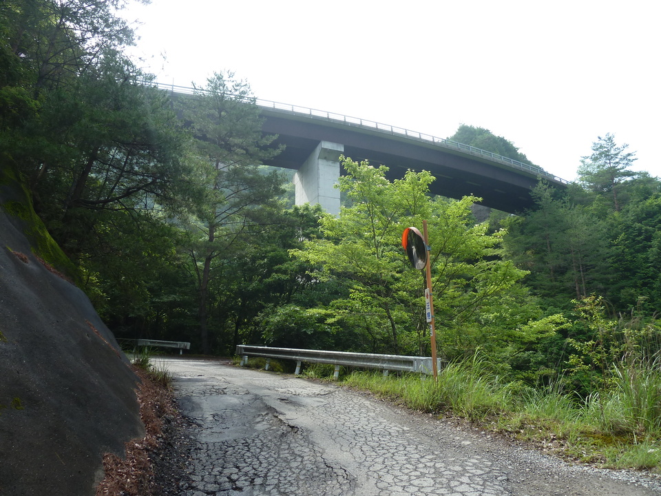 P1110355_mid.jpg