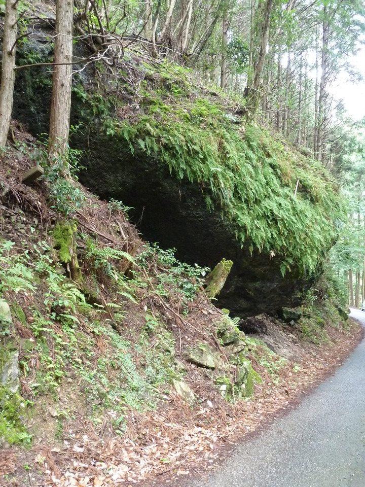 P1110386_mid.jpg
