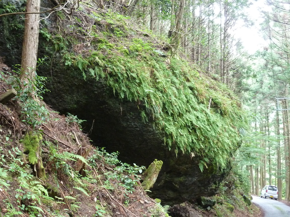 P1110387_mid.jpg