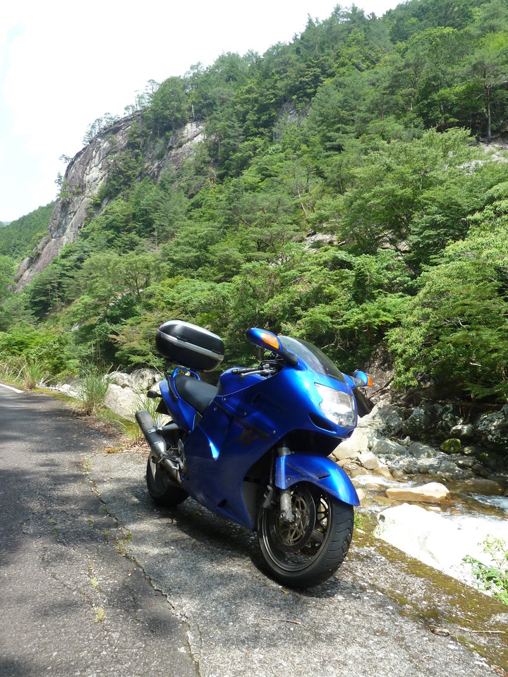 P1110405_mid.jpg