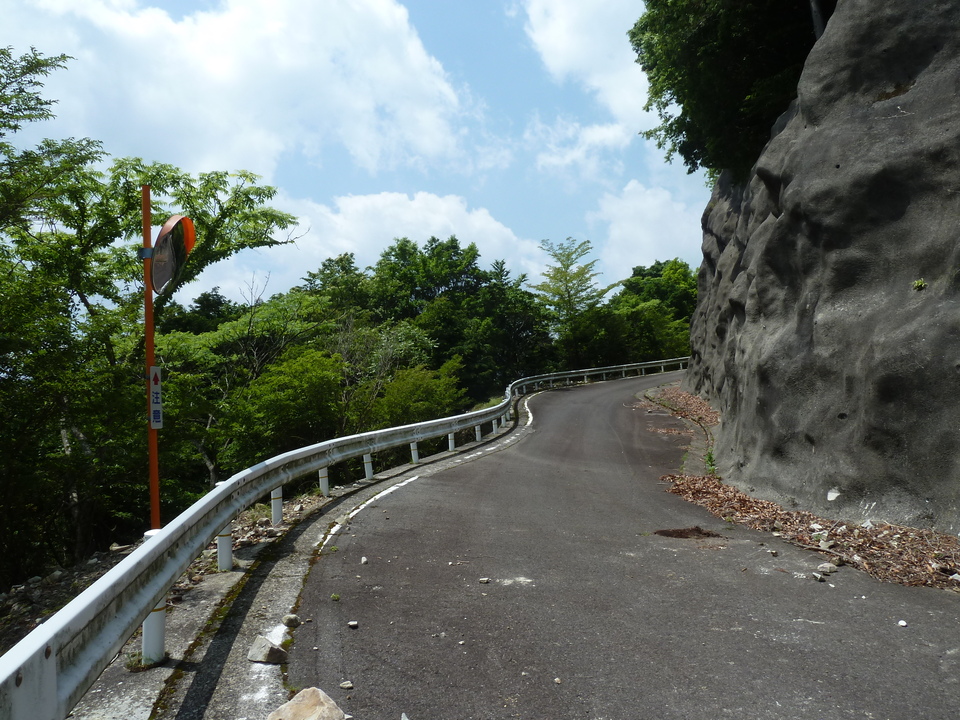 P1110419_mid.jpg