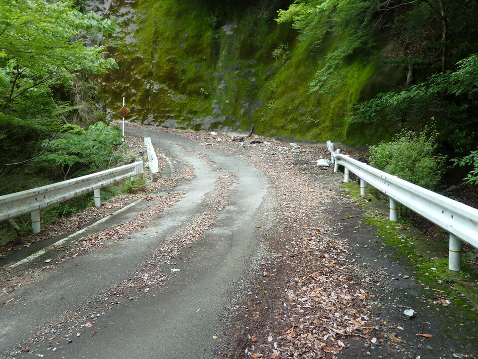 P1110428_mid.jpg