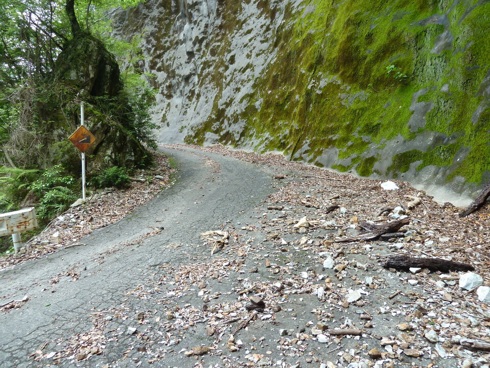 P1110429_mid.jpg
