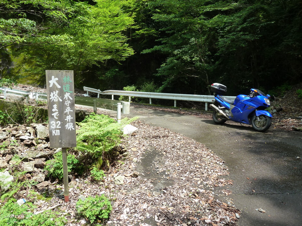 P1110431_mid.jpg