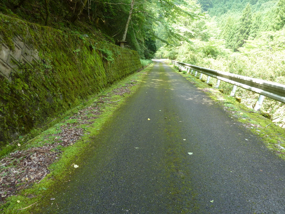 P1110435_mid.jpg