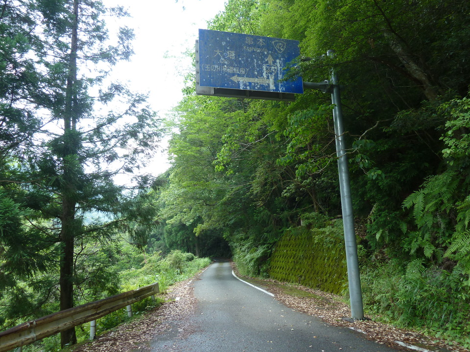 P1110438_mid.jpg