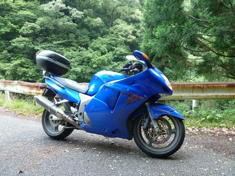 P1110442_mid.jpg