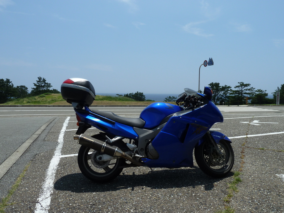 P1110470_mid.jpg