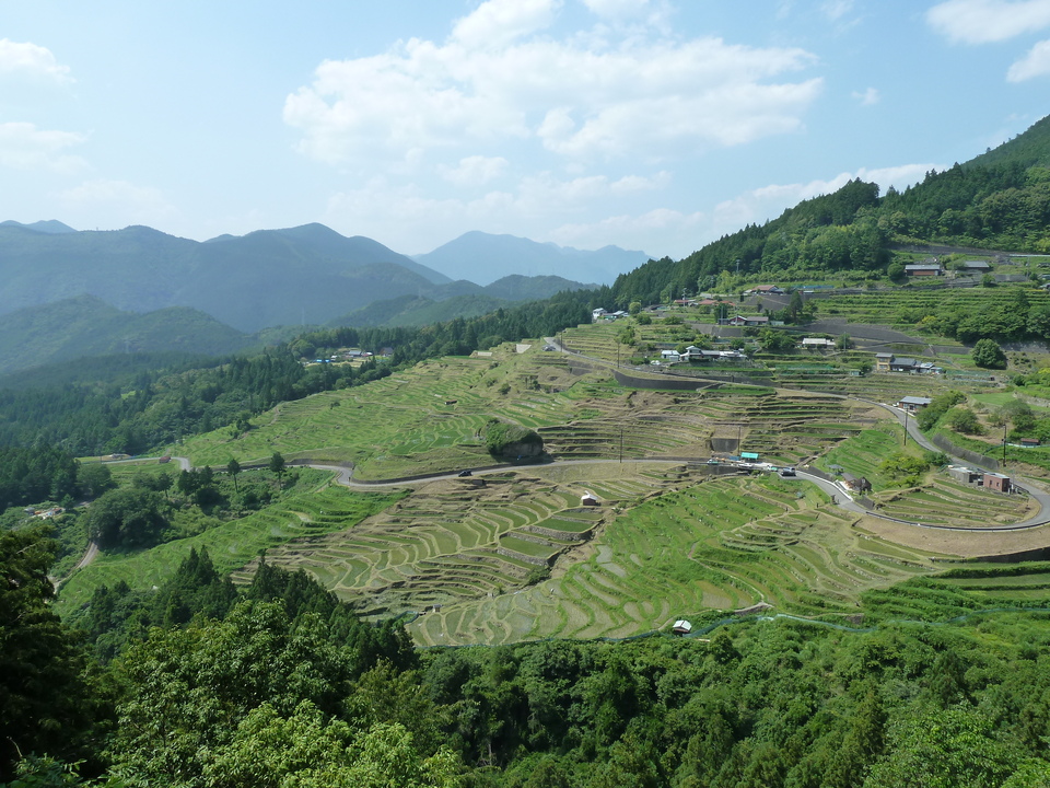 P1110478_mid.jpg
