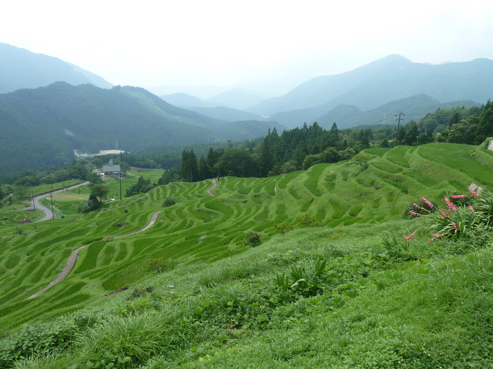 P1110586_mid.jpg