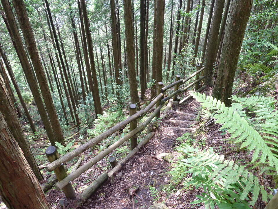 P1110607_mid.jpg