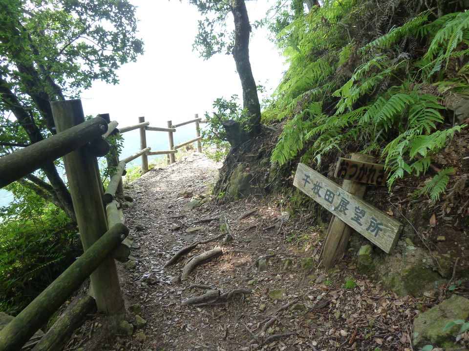 P1110611_mid.jpg
