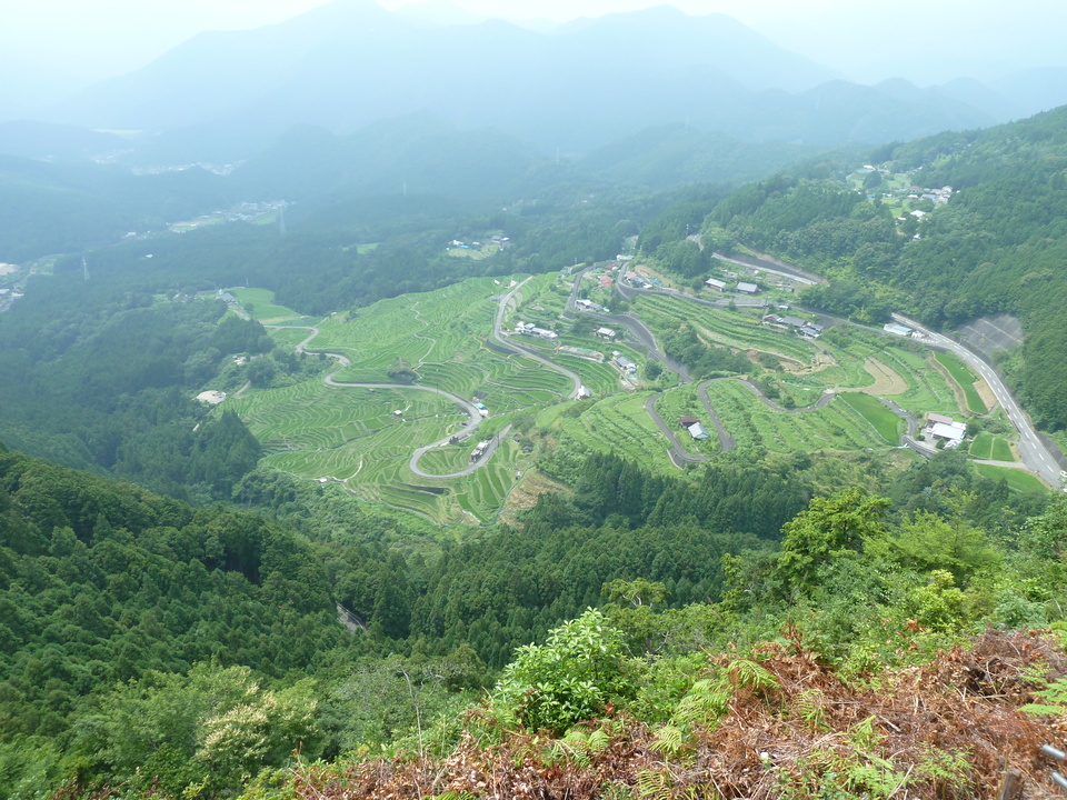 P1110612_mid.jpg