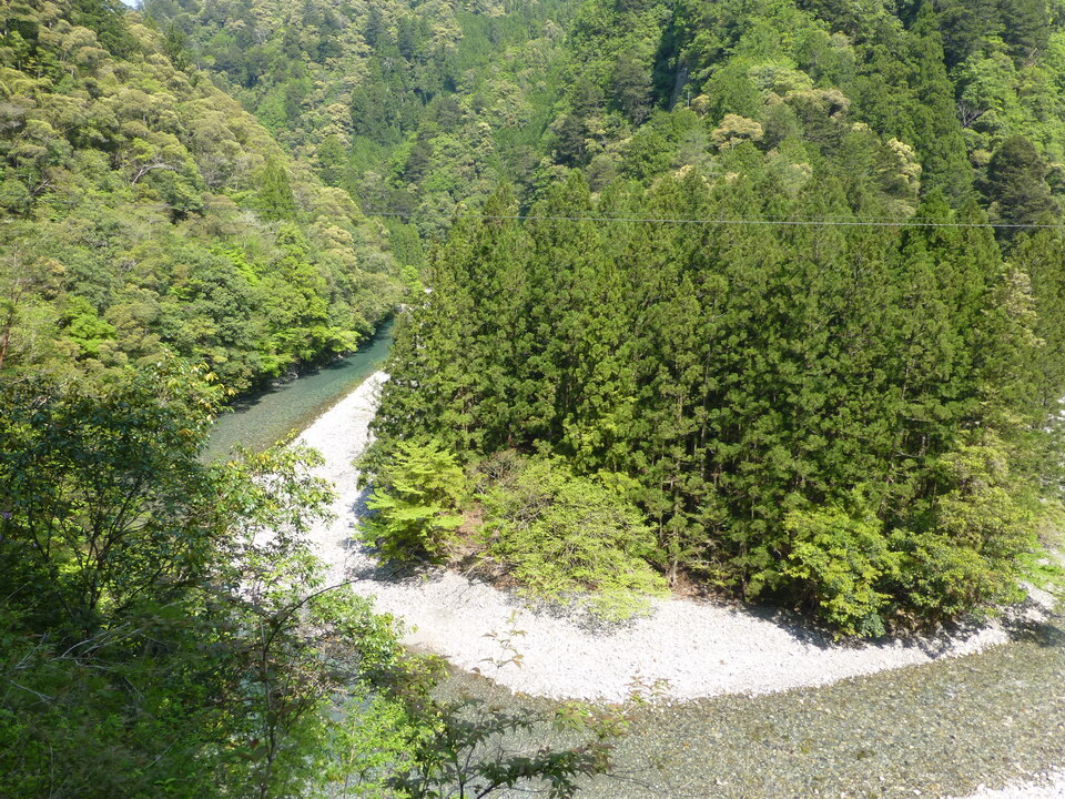 P1040324_mid.jpg