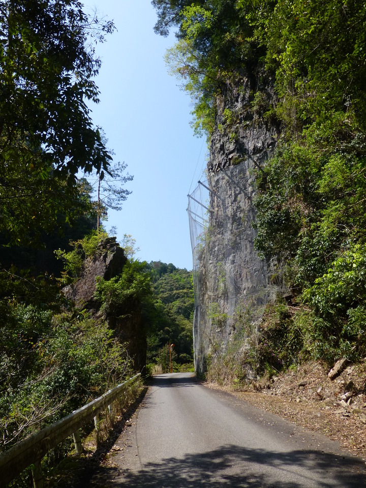 P1040335_mid.jpg
