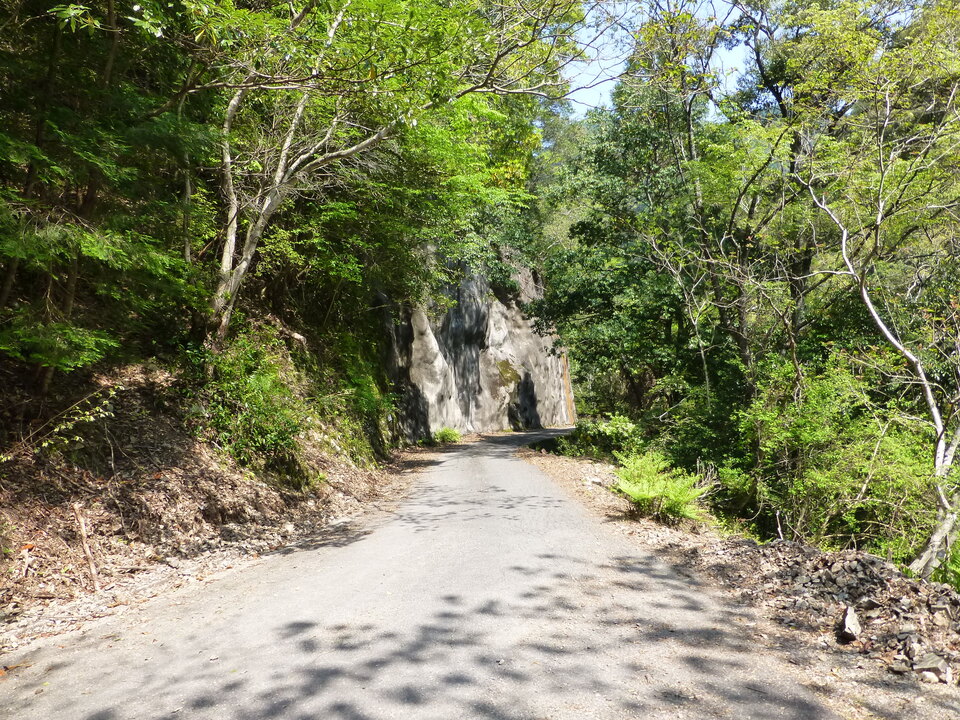 P1040354_mid.jpg