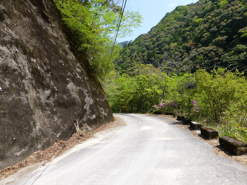 P1040365_mid.jpg