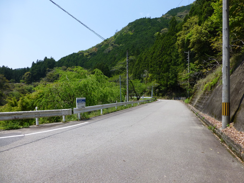 P1040390_mid.jpg
