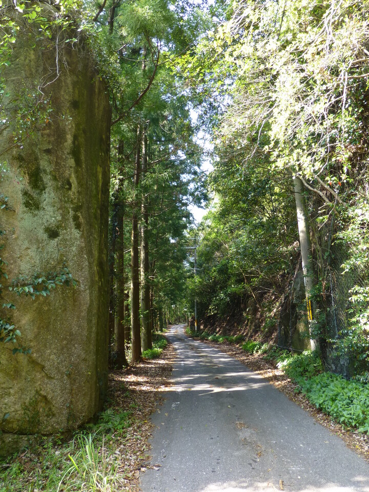 P1040470_mid.jpg