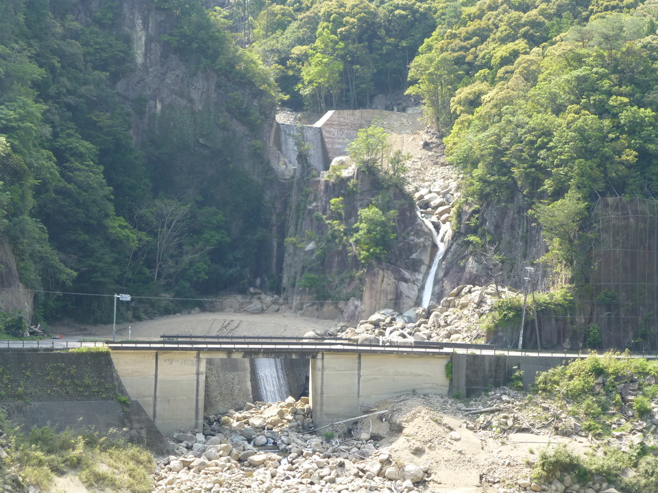 P1040480_mid.jpg