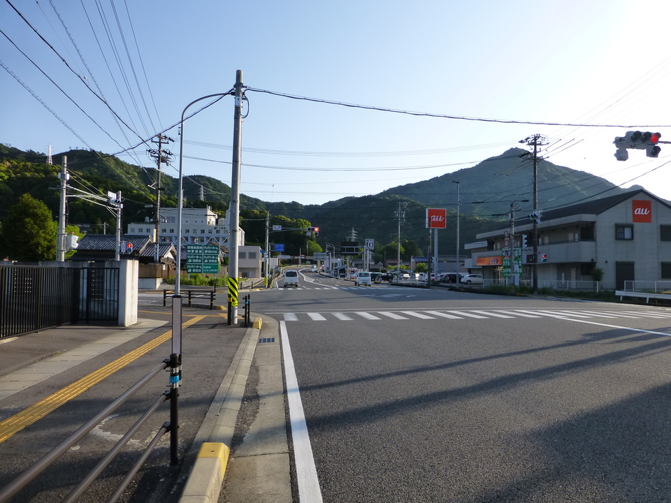 P1040524_mid.jpg