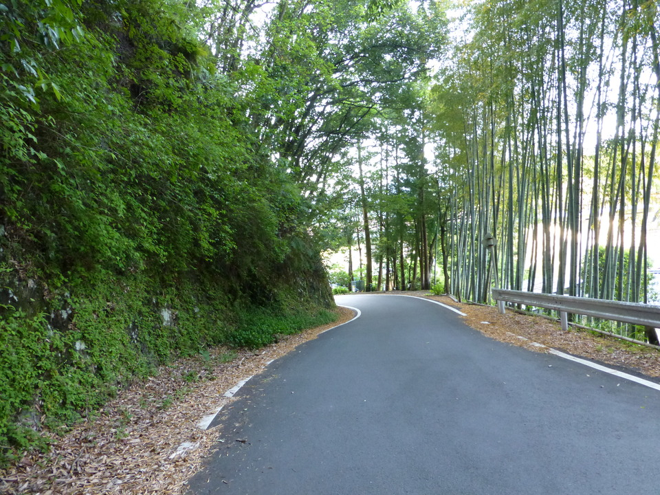 P1040546_mid.jpg