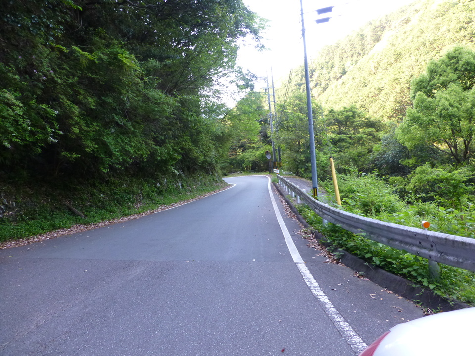 P1040549_mid.jpg