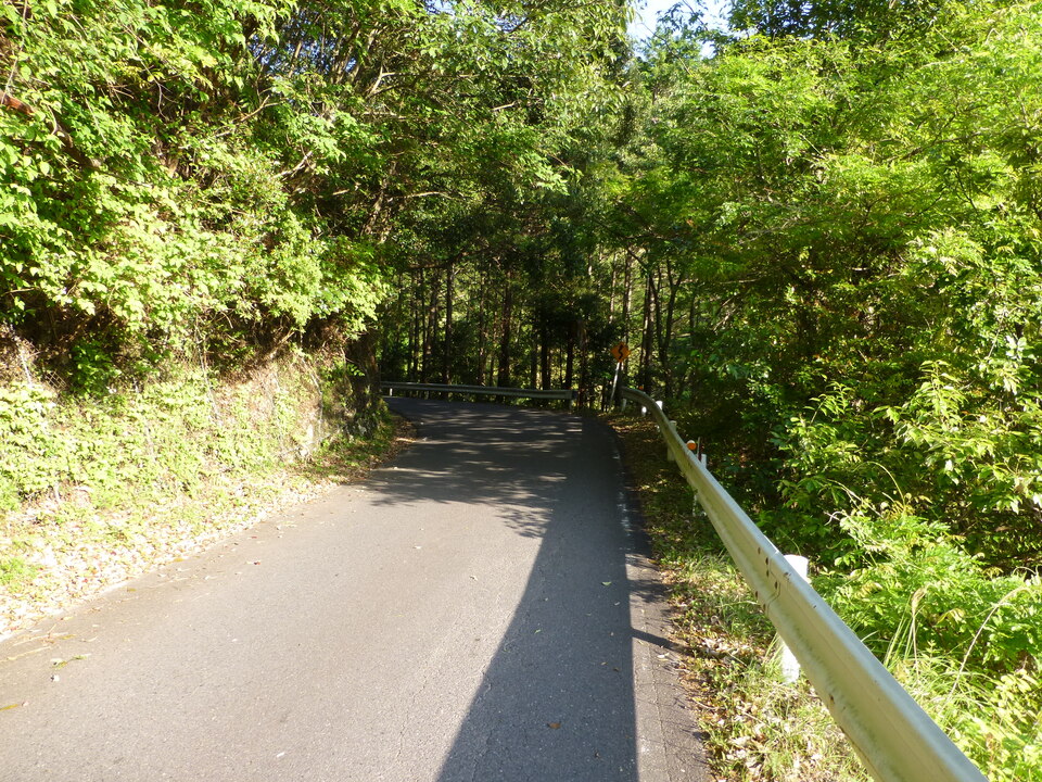 P1040556_mid.jpg