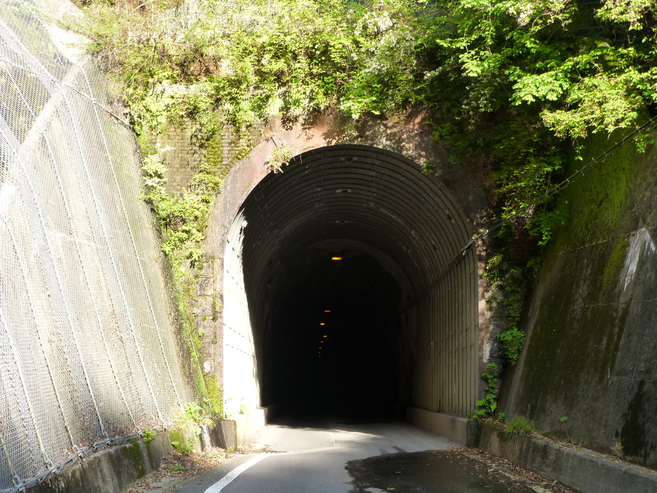 P1040560_mid.jpg