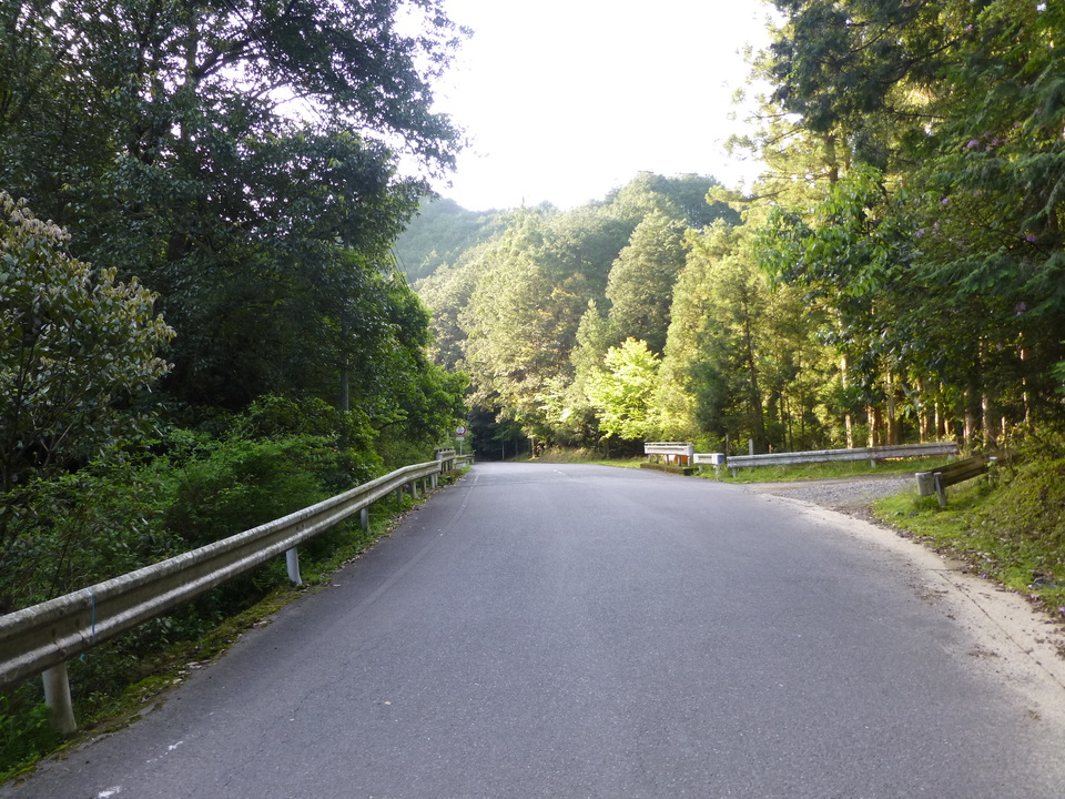 P1040570_mid.jpg