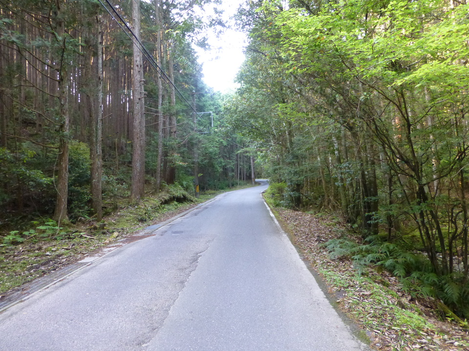 P1040572_mid.jpg