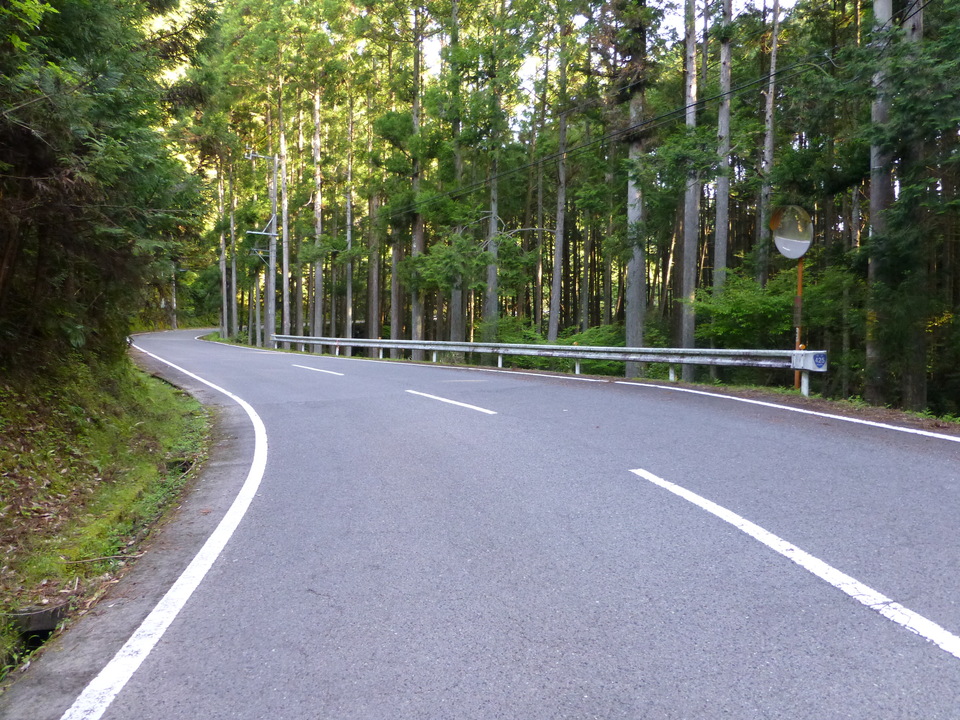 P1040573_mid.jpg